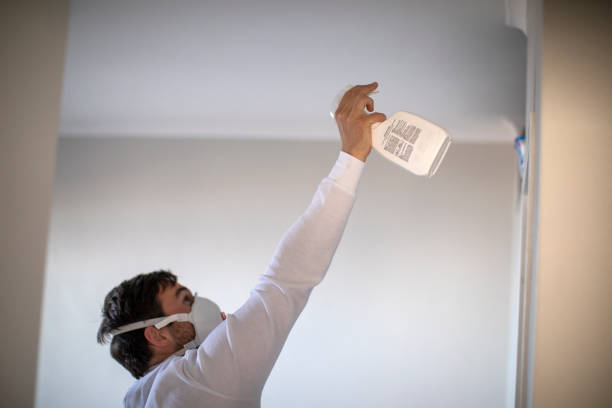 Best Mold Removal Process  in North Merrick, NY