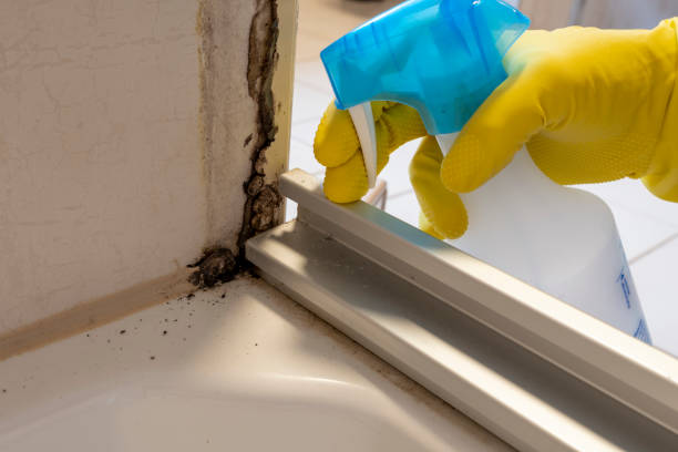 Crawl Space Mold Removal in North Merrick, NY